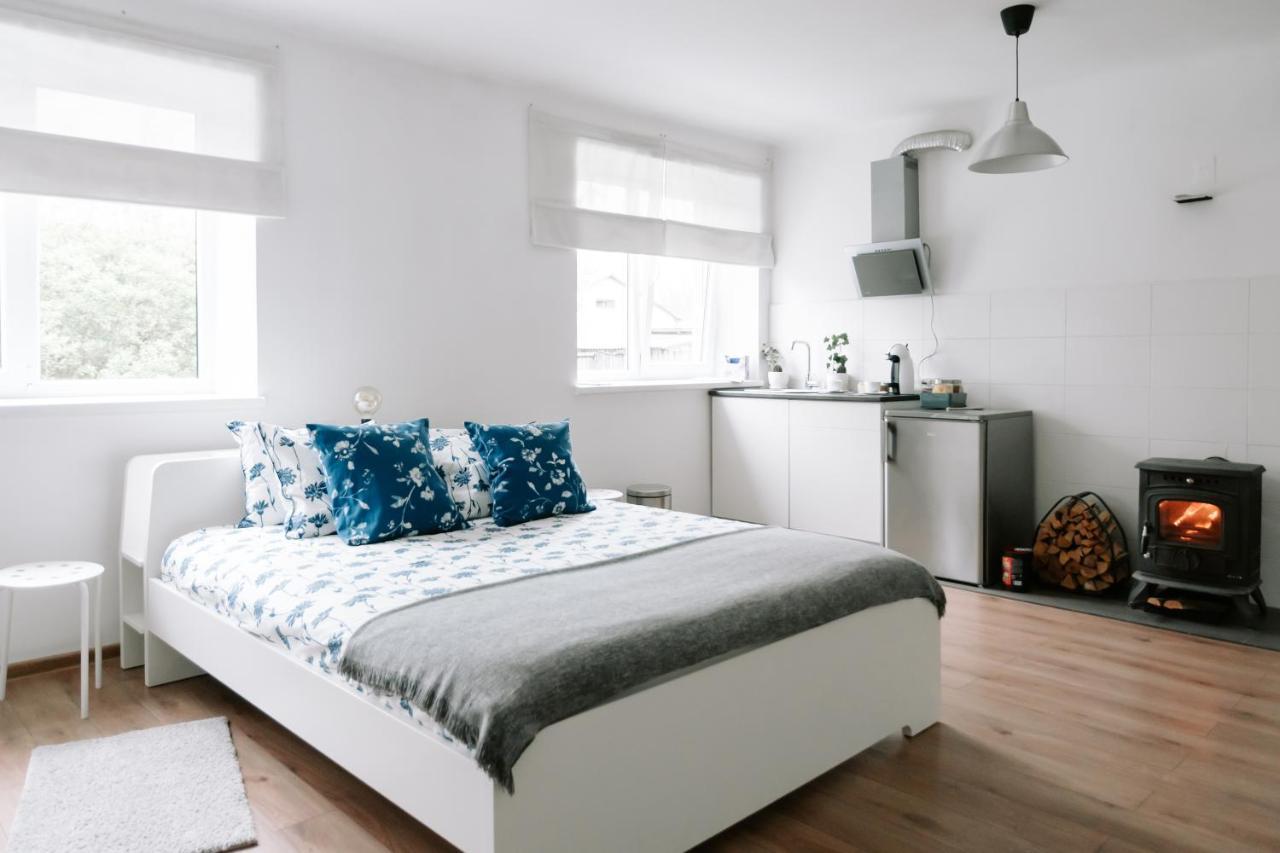 Lake Aluksne Studio Apartment Luaran gambar